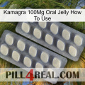 Kamagra 100Mg Oral Jelly How To Use 07